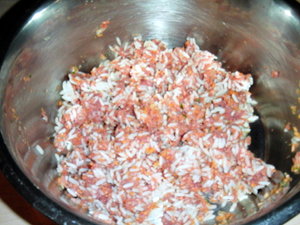 CIMG0362.JPG CIMG0362.JPG