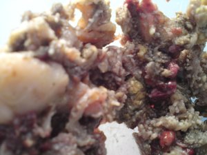 2znmgpl.jpg 2znmgpl.jpg