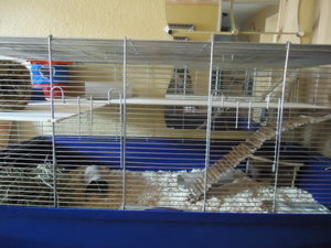 DSC00724.JPG DSC00724.JPG