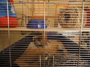 DSC00729.JPG DSC00729.JPG