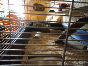 DSC00727.JPG DSC00727.JPG