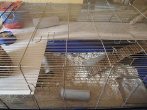 DSC00725.JPG DSC00725.JPG