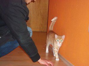 000_0036 - Kopie.JPG