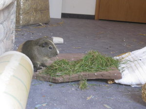 Alle Bilder 574.jpg Alle Bilder 574.jpg