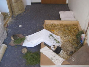 Alle Bilder 571.jpg Alle Bilder 571.jpg