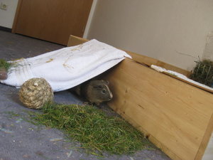 Alle Bilder 575.jpg Alle Bilder 575.jpg