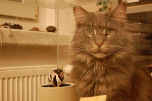 DSC_2200 - Kopie.JPG