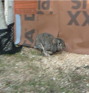 P1070383 tierforum.jpg