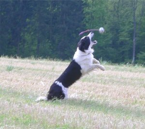 13-05-05 Ballspiel.jpg