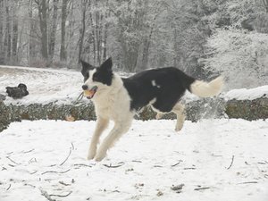 06-02-06 Flug7 gross.jpg