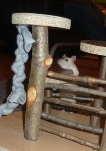 P1010365.JPG P1010365.JPG