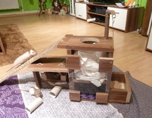 P1010327.JPG P1010327.JPG