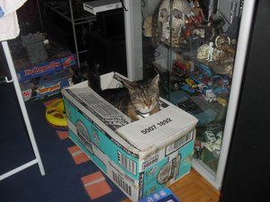 Februar2010 1253.jpg