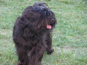 Jamuna,Kyibu,Steini 036.jpg