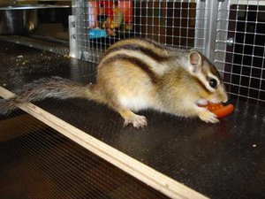 K640_DSC05766.JPG K640_DSC05766.JPG