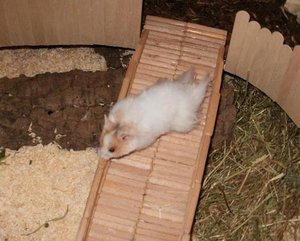 P3270159 - Kopie.JPG