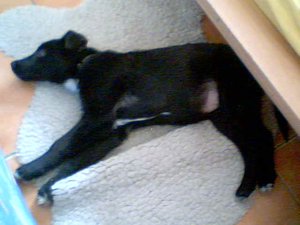 2011-03-31 17-18-45.583.jpg