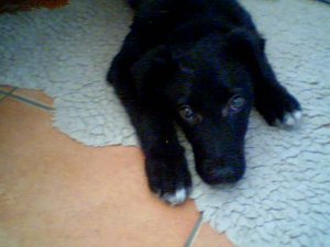 2011-03-31 17-19-43.281.jpg