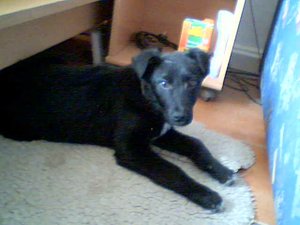 2011-03-31 17-19-06.925.jpg