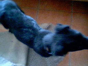 2011-03-31 17-43-51.562.jpg