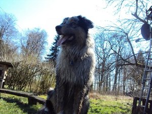 7699315iix.jpg 7699315iix.jpg