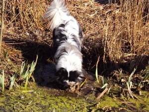 8259187kcl.jpg 8259187kcl.jpg