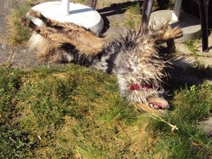 8259188cvo.jpg 8259188cvo.jpg