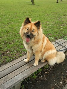 Foto0094.jpg Foto0094.jpg