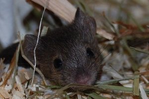 DSC_4319 - Kopie.JPG