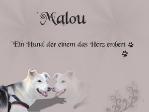 6838612fnw.jpg 6838612fnw.jpg