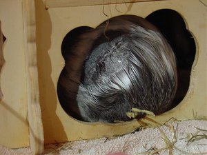 Nach OP_23.Oktober.jpg