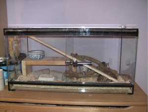 Kopie von BILD0362.jpg