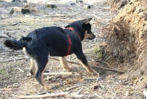 20.Feb.08 (2) - Kopie.JPG