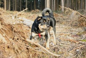 20.Feb.08 (3) - Kopie.JPG