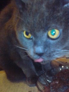 DSC00641.jpg DSC00641.jpg