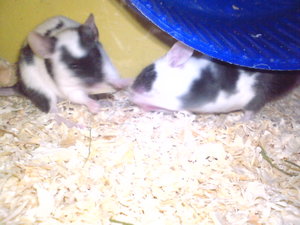 DSC00857.JPG DSC00857.JPG