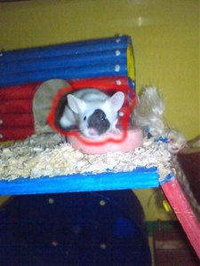 angie (80).jpg angie (80).jpg