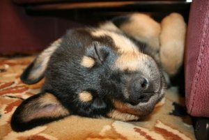 IMG_8648 - Kopie.JPG