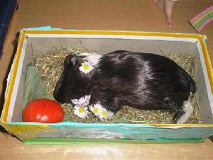 P4040589 - Kopie.jpg