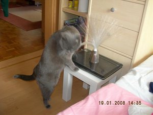 DSCN2680.jpg DSCN2680.jpg