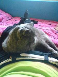 DSC01501.jpg DSC01501.jpg