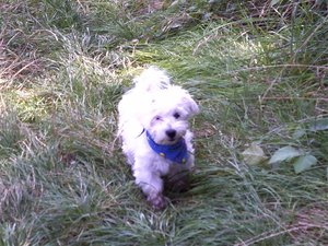 DSCF0663.jpg DSCF0663.jpg