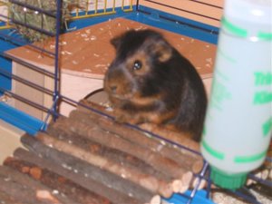 überrascht.jpg überrascht.jpg