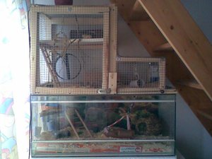 Bild036.jpg Bild036.jpg