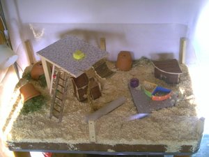 PICT0056.jpg PICT0056.jpg