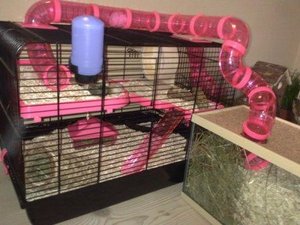 Bild1085.jpg Bild1085.jpg