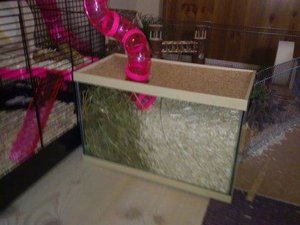 Bild1084.jpg Bild1084.jpg