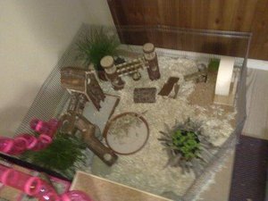 Bild1086.jpg Bild1086.jpg