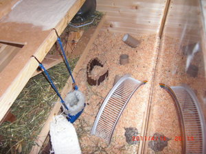 CIMG2043.JPG CIMG2043.JPG