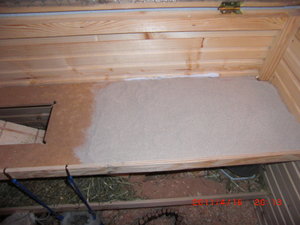 CIMG2041.JPG CIMG2041.JPG